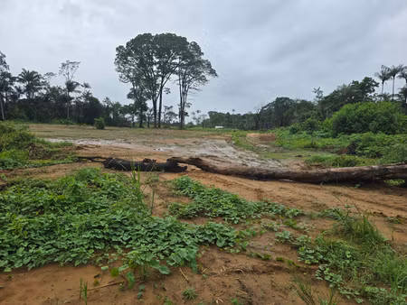 terrain 1000m2 bord rte de macouria 5mn bourg 800eur