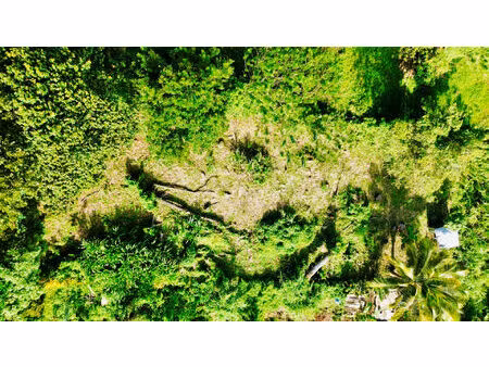 vente terrain  864.00m²  sainte