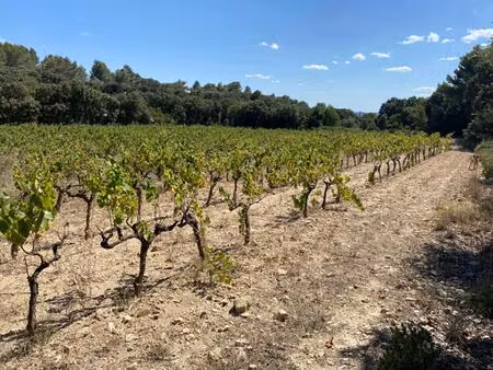 vente maison 6566 m² saint-hilaire-d’ozilhan (30210)