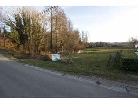 grand terrain de 44 ares entre chimay et couvin