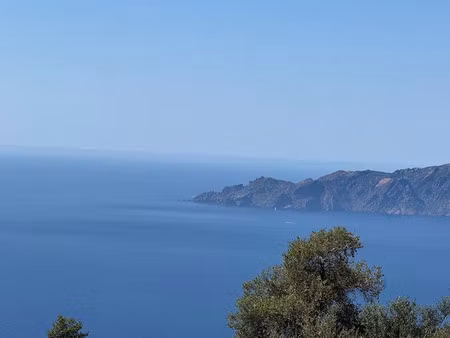 vente terrain 1965 m² à piana (20115)  315 000 €