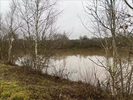 vente terrain 90000 m² à saint-désiré (03370)  88 000 €