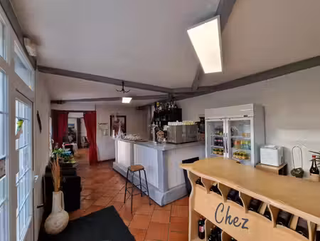 vente commerce 400 m² saint-georges-des-coteaux (17810)