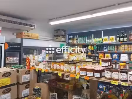 vente locaux professionnels 62 m² à saint-joseph-de-rivière (38134)  63 000 €