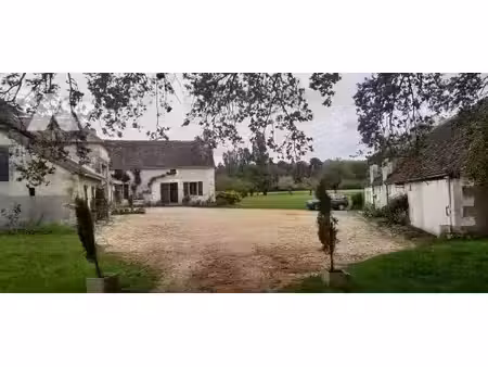 vente maison betz-le-château (37600)