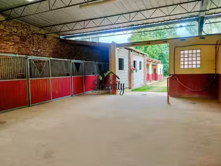 vente maison 7 pièces 153 m² bus (62124)