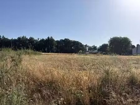 vente terrain à aubigny (85430) : à vendre / 441m² aubigny