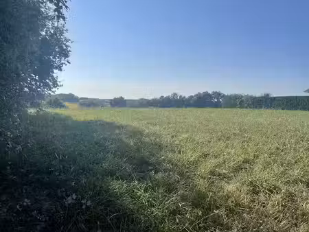 vente terrain 1400 m² à bonnut (64300)  34 500 €