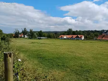 terrain escoeuilles