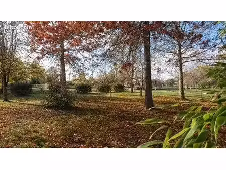 terrain 1000 m2 à la magdelaine sur tarn