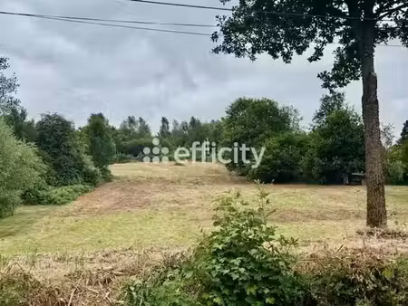 vente terrain 8300 m² à la monnerie-le-montel (63650)  63 800 €