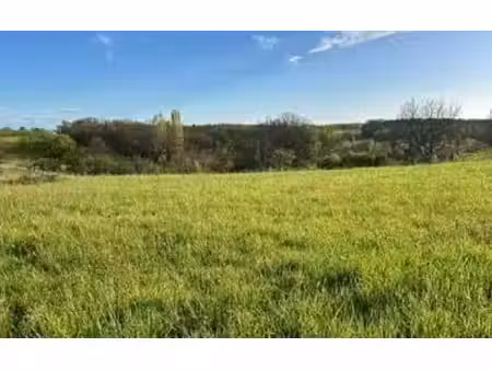 terrain l'honor-de-cos m² t- à vendre  50 000 €