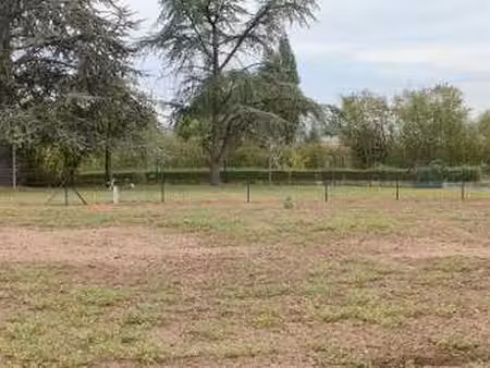 vente terrain à mésanger (44522) : à vendre / 714m² mésanger