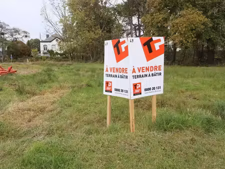 lot 49
