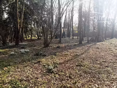 terrain constructible dans secteur recherché