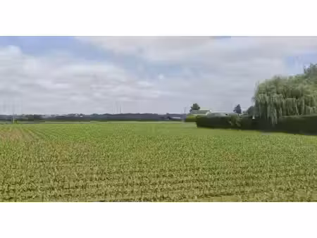 vente terrain 910m2 ousse 64320 - 99000 € - surface privée