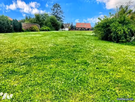 terrain 601 m² raimbeaucourt