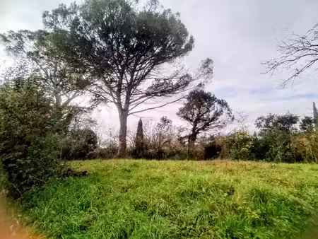 vente terrain 600 m² rions (33410)