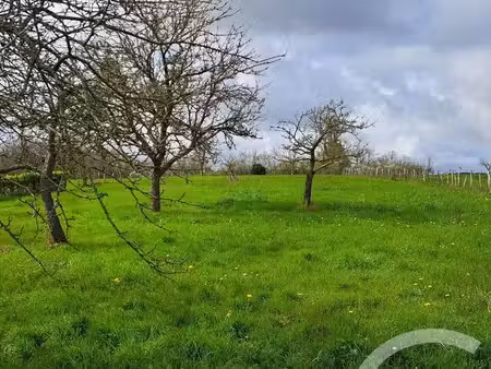 terrain à vendre - 2757 m2 - senille st sauveur - 86 - poitou-charentes