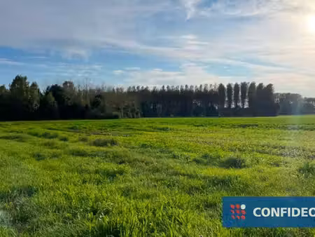 terrain à vendre à halen € 31.900 (ktx42) - confideo immo | zimmo