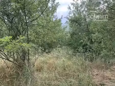 vente terrain 44000 m² à pieusse (11300)  55 000 €