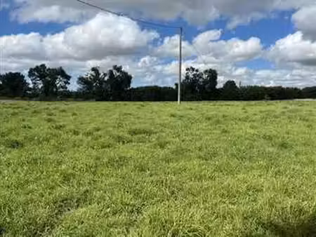 vente terrain à trébrivan (22340) : à vendre / trébrivan