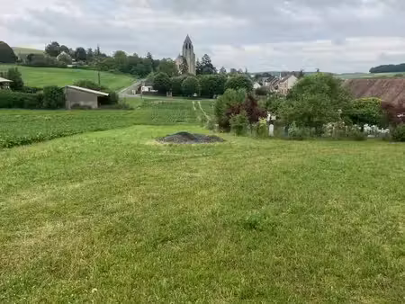 terrain