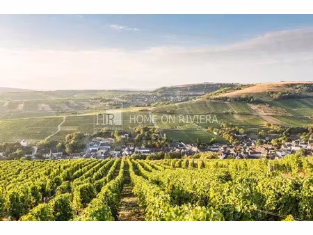 vente commerce 5 pièces 135 m² saint-satur (18300)