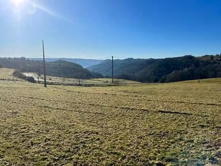 vente terrain 1900 m² neuville (19380)