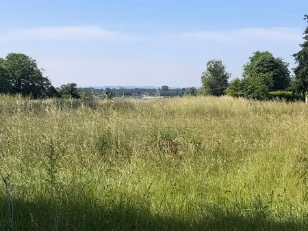 vente terrain 667 m² à neuille (49680)  39 000 €