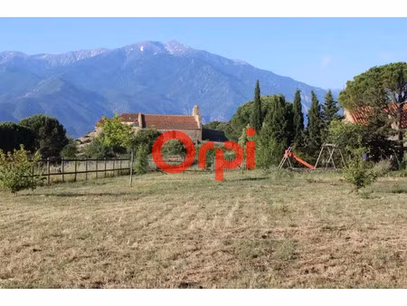 vente terrain à batir 1000 m² à arboussols (66320)  88 000 €