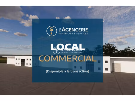 immobilier professionnel à vendre gaillac