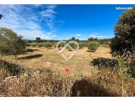 terrain 10803 m² pignan