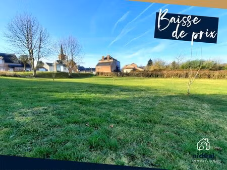 terrain constructible