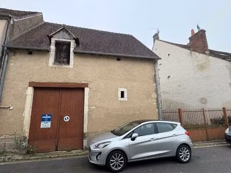 vente terrain 1042 m² thenay (36800)