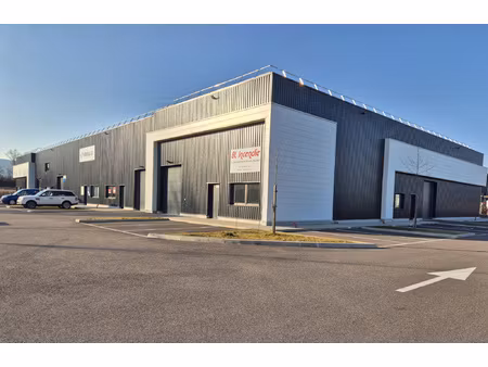 local d'activité 237m2