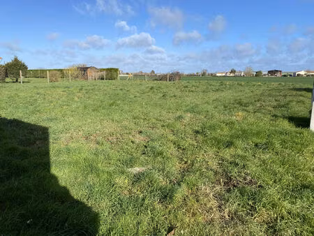 vente terrain 946 m² saint-vincent-sur-jard (85520)