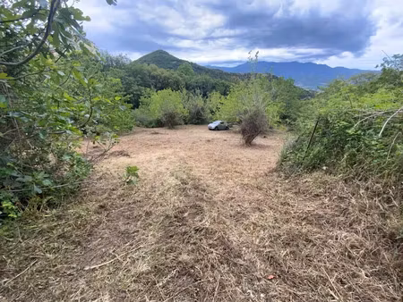 vente terrain à oletta (20232)  260 000 €