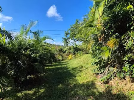 vente terrain à batir 821 m² à ducos (97224)  109 000 €