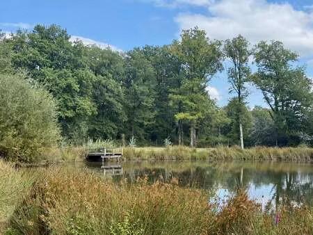 vente terrain à montigné-lès-rairies (49430) : à vendre / montigné-lès-rairies