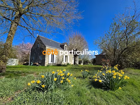 vente maison 4 pièces 101 m² à louans (37320)  195 114 €