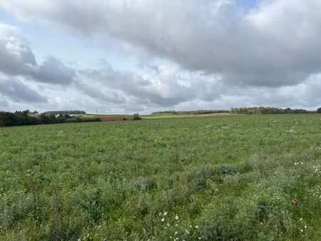 vente terrain 560 m² à rurange-lès-thionville (57310)  161 000 €