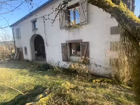 70280 saint bresson a vendre ferme