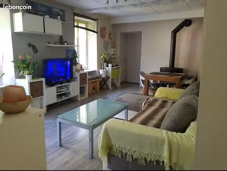 appartement avec terrasse  cave et jardin