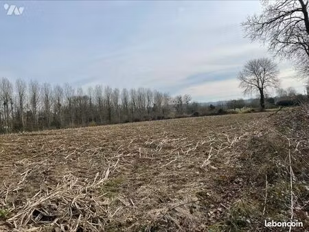 terrain 8020 m² st denis le vetu