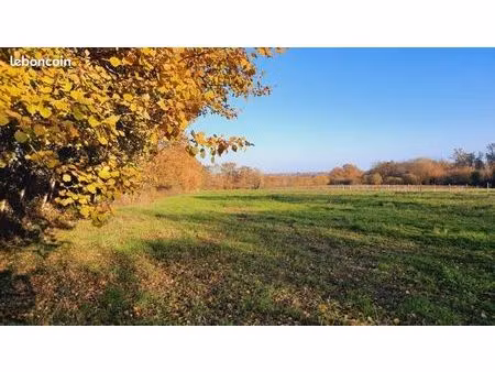 terrain agricole gorges 6500m2 - les hauts mortiers