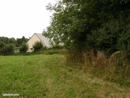 terrain constructible