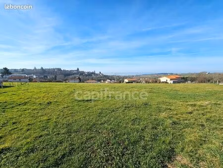 terrain 16 726 m² panissieres