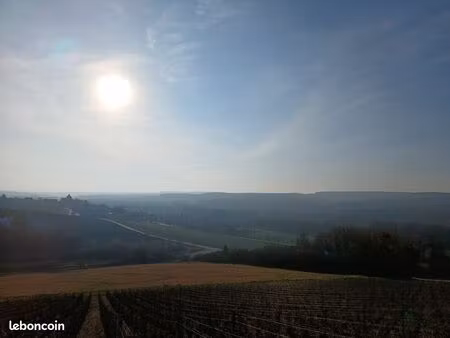 droit plantation vigne