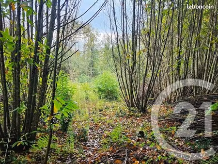 terrain 3 405 m² carlux